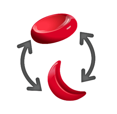 Image of a cycle of sickling and unsickling of red blood cell