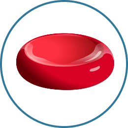 Illustration of a healthy red blood cell